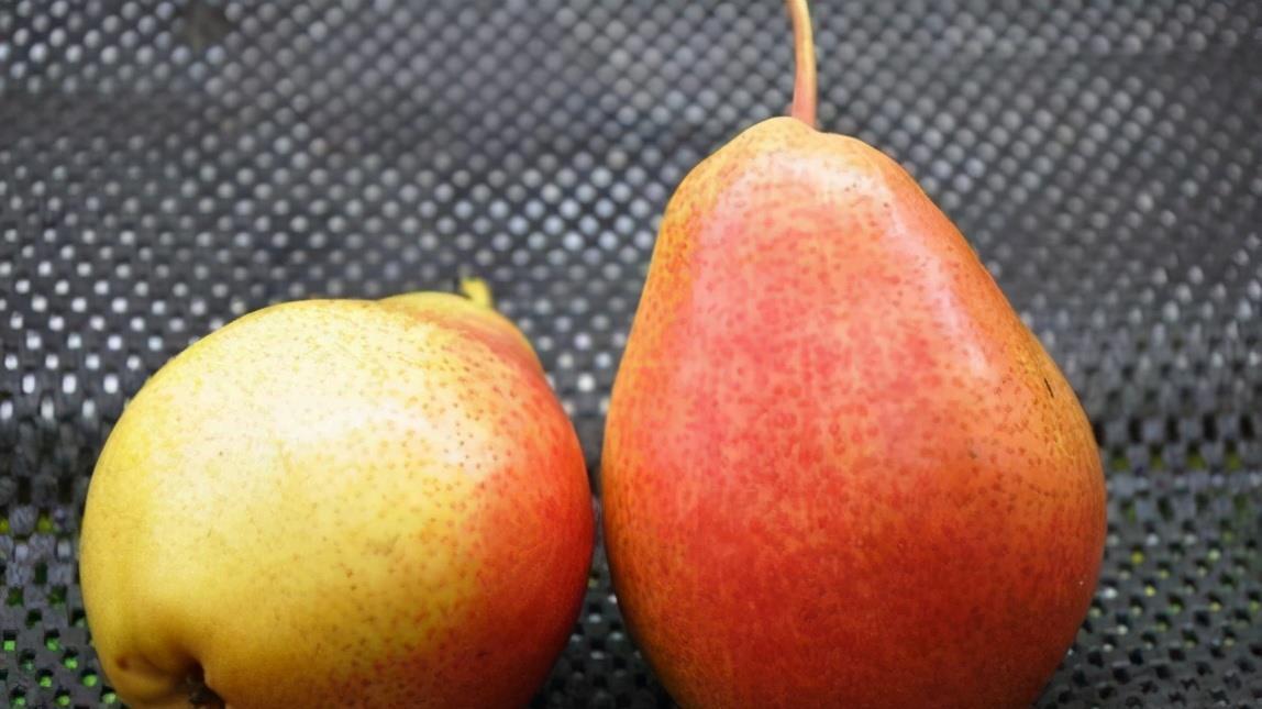 蚕豆皮|冬天,多吃以下3种食物,可消除疲劳,降低血压,改善心血管