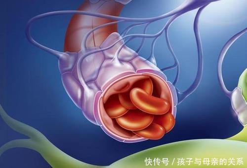 胆固醇|甘油三酯超标，退休院士提醒：做对3事，坚持15天，血脂自己降