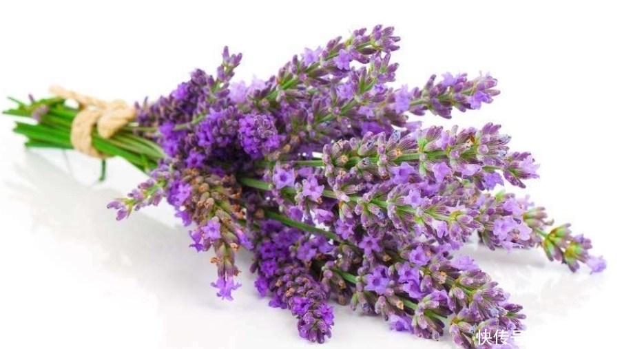 抓住|3生肖女最会抓住男人的心,她们会事先做好准备