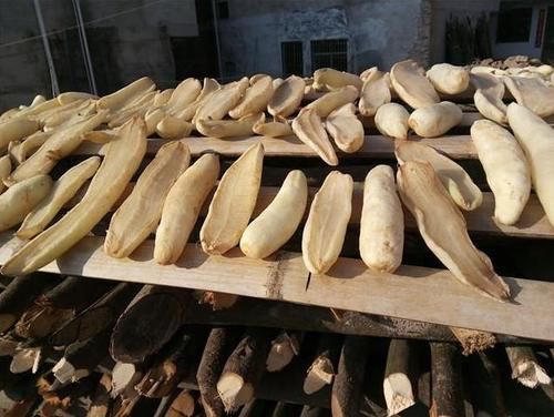 这5种晒干后更香的蔬菜,留着冬天炖肉吃,放一年也不坏