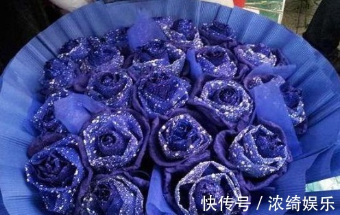 喜欢菊花，不如养盆“高档玫瑰”蓝色妖姬，花中新贵，妖艳迷人！