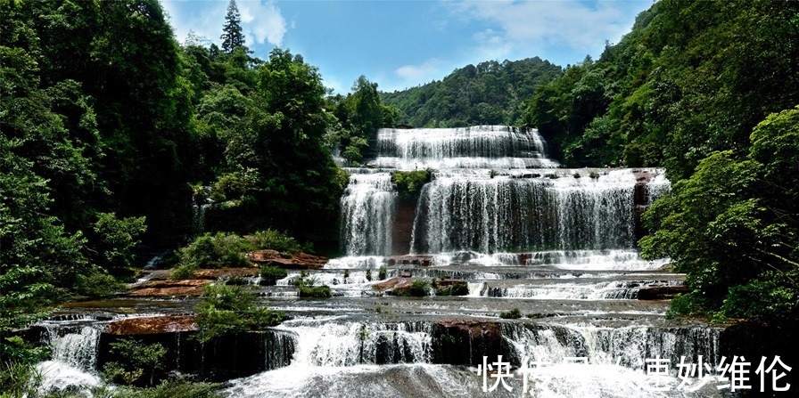 长滩|赤道附近保存比较完整的原始森林 开学季来这里写生 不虚此行