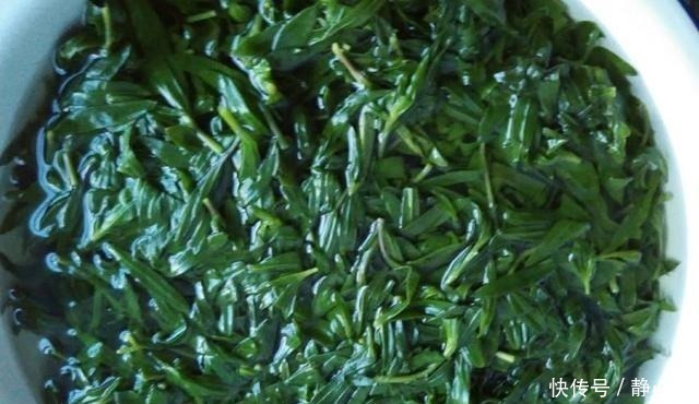 山上一野菜,半个月就可采摘一次,市场一斤卖60元,见到请珍惜