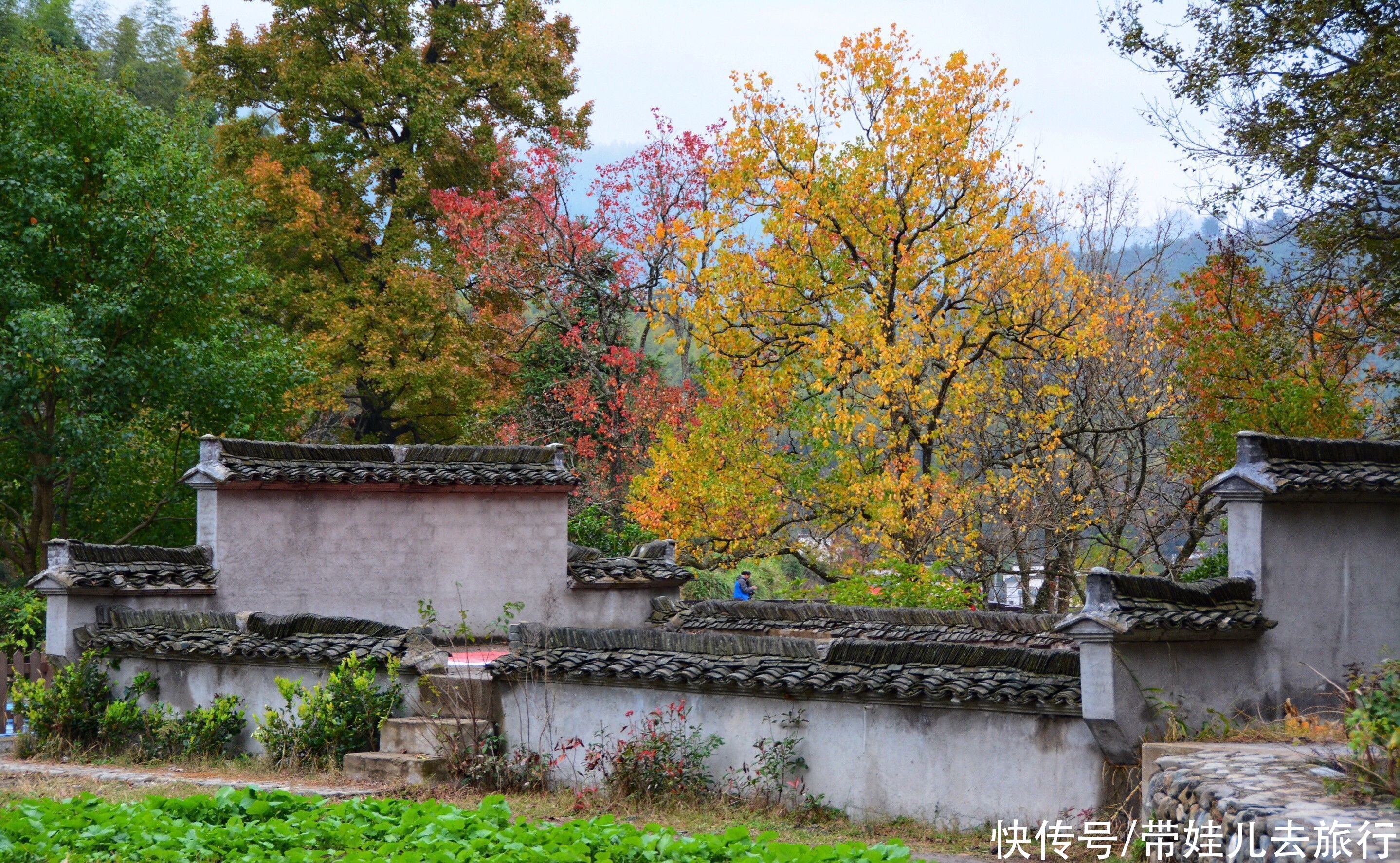 香山|中国有三大秋色观赏地，前两个是香山和九寨沟，另一个却是它