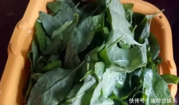 眼睛经常看不清,快吃它,一斤才5元,鲜甜滋补,不吃浪费了!