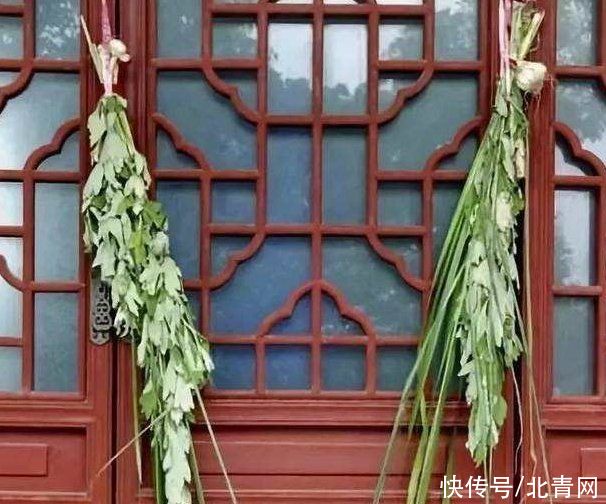 艾叶油|随处可得的“绿草”竟然是中药界的明星