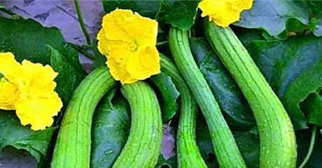 春天爱美女性适合常吃几种食物,呵护肌肤,排毒养颜,营养又瘦身