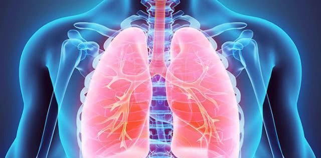 寿命|肺不好的人普遍寿命短,护肺有诀窍,5个养肺方法请你了解一下