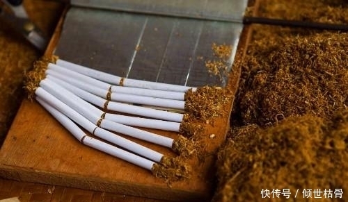 农村一种大叶植物,被称为影响男人生活的“四大发明”之一