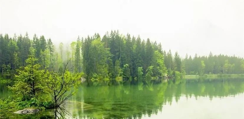 陋室铭|司马南楷书|刘禹锡《陋室铭》