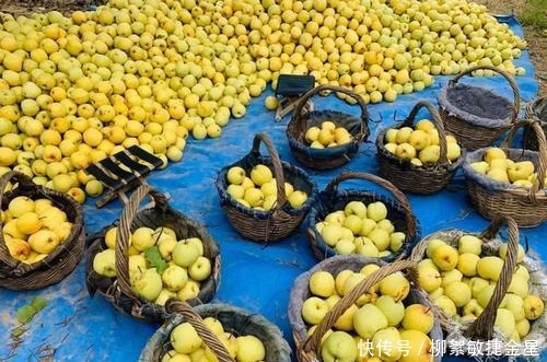 豆腐干|如果不差钱,建议大家尝尝安徽这5种特产美味,尤其第3种特别有名