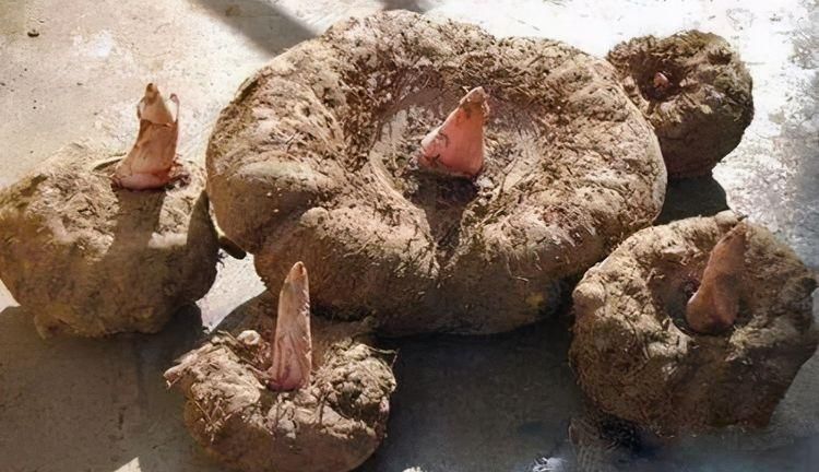 女性不想成黃臉婆，推薦常吃3種食物，去除皺紋，好處多多！