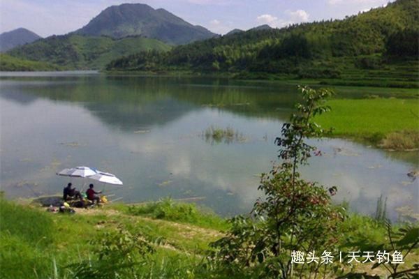 钓不到大鱼,未必是鱼少,可能方法不对试试这几招,一钓一个准