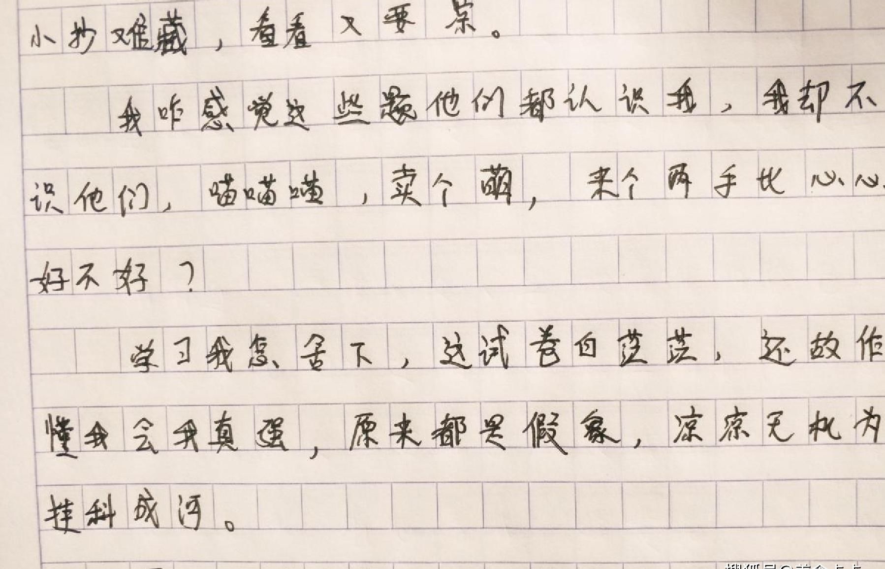 小学0分作文《凉凉考试》走红，家长摇头，老师无情：都是真相