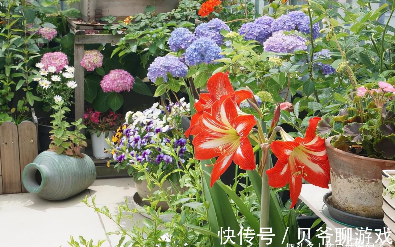 养花人都该学会的4项技能,养花方便还能省钱,轻松提升养花经验