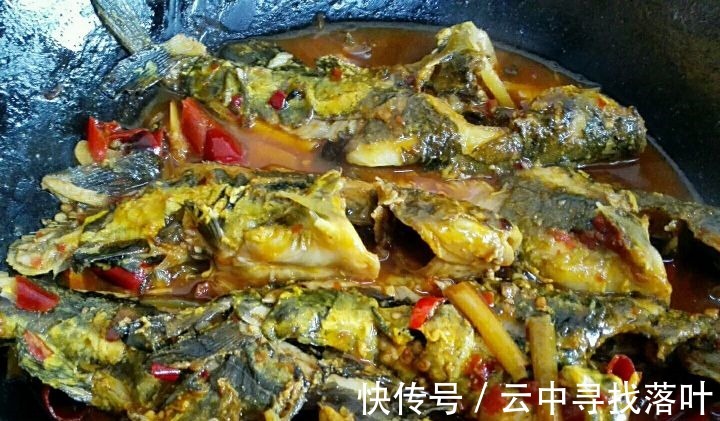 带鱼|入秋后,“贴秋膘”可别乱补,分享秋后5种鱼,营养解馋,不怕胖!