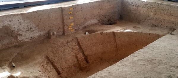 行走|行走大运河丨防虫防霉,古人存粮有这些“黑科技”