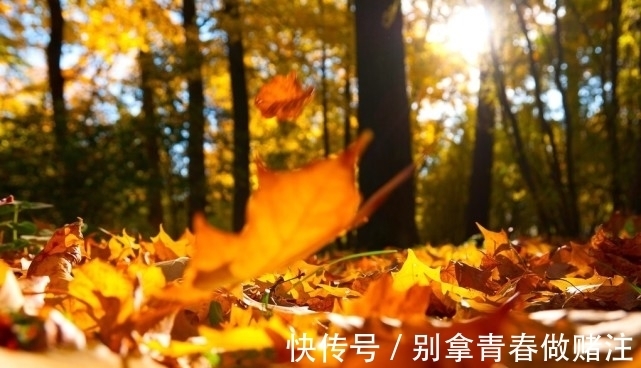 为什么一到秋冬季节总有静电?如何科学地消除静电?