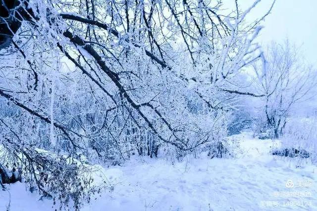 童话|冰天雪地，童话吉林