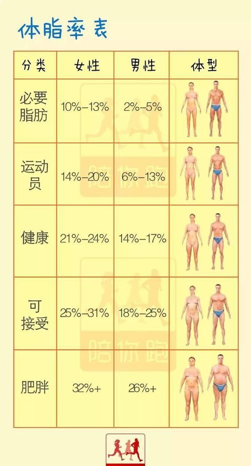 体脂率计算器女性