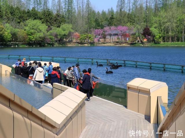 花博南园最大单体建筑开业，听鸟语、赏美景，等你来打卡咯！