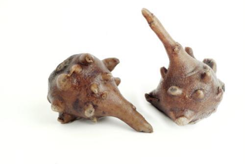 干姜|“眼袋”威胁颜值的最大杀手，老中医用一味药搞定，送给天下女人