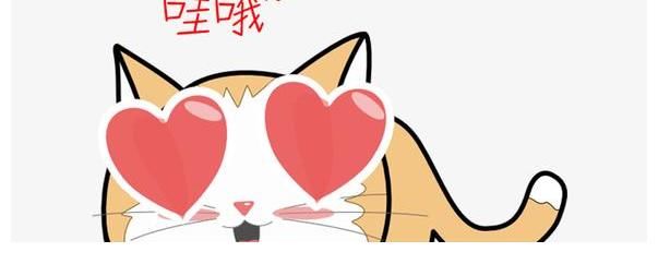 披荆斩棘的哥哥|gif动图怎么制作？几张动图带你了解《披荆斩棘的哥哥》触动细节