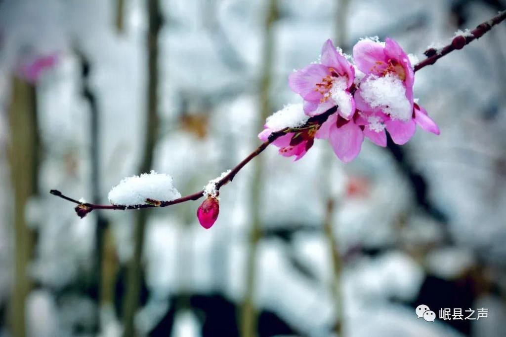 岷县的春夏秋冬，看不够！