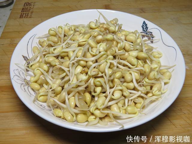 豆芽不用花钱买,用一个塑料袋就够了,一茬接一茬,安全靠谱