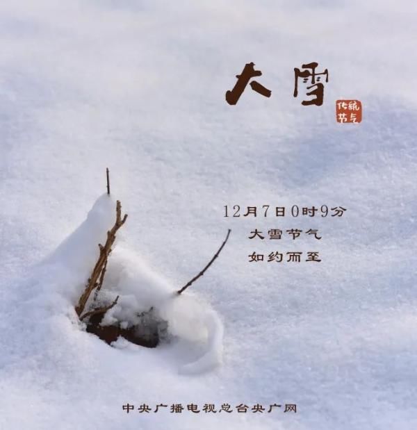  小伙伴|今日大雪！约上小伙伴一起“进补”