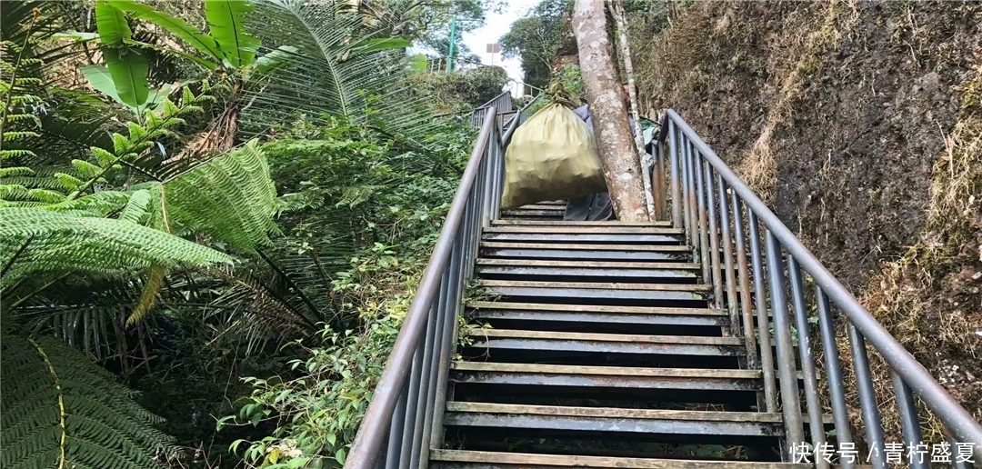 登上海南名山之一，领略七仙岭原始森林风貌