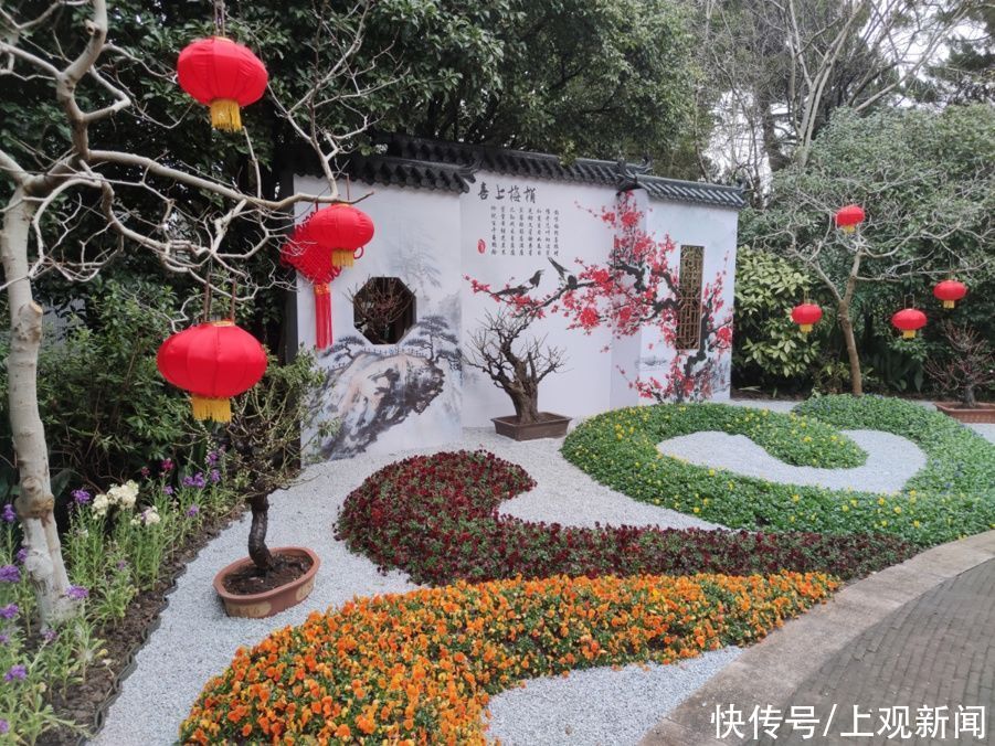 错过|快来一起赏“梅”景！去年没约成，今年别错过啦