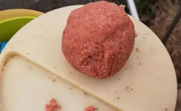 钓鱼开饵技巧，腥味饵料不是万能的，这样搭配才更有效果！