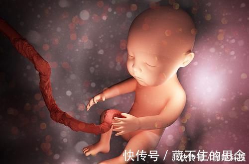 记忆|胎儿有宫内记忆?爸爸:4岁儿子的话让我流泪,早知应更重视胎教