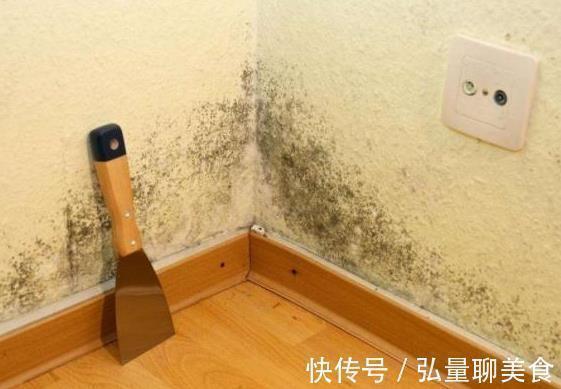 酒精|家里墙壁发霉别再傻傻花钱重刷，聪明人教你一招，省钱又好用
