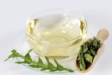 蒲公英根|吃惊:一味中药48小时可灭掉98%疾病!但很多人还以为它是野草!