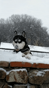 |搞笑GIF趣图:这么漂亮的老师给我加油打气,上课都认真了