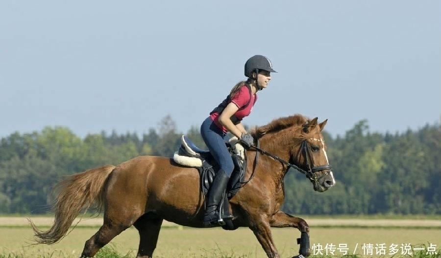  下联|千古绝对上联“两口子骑一马,多难受”,下联太经典
