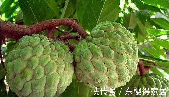 食物|女性推荐常吃3种食物，排毒养颜、延缓衰老，有益健康