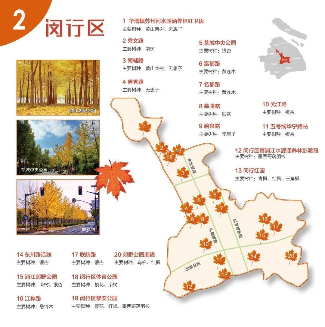 红叶|收藏9张“郊区红叶地图”！上海秋天真好看