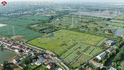 一半灿烂嫣红,一半明媚鹅黄!万里挑一的睡莲冠军,这里都能看到