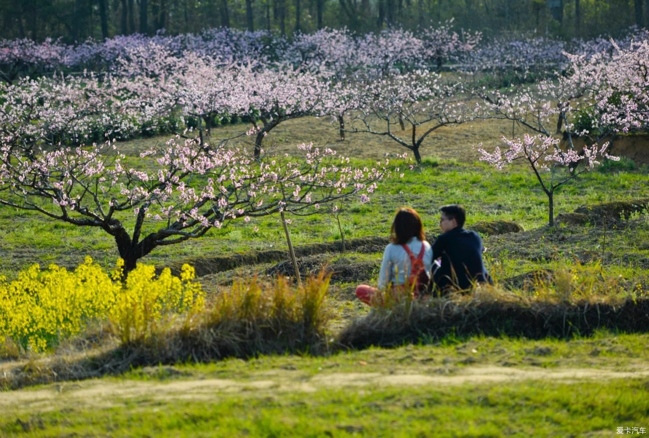 在安徽黟县旅行，西递、屏山、桃花源这三个地方，很值得看一看