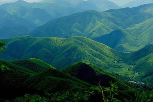 你好，我是莫干山国际旅游度假区，这是我的新名片！