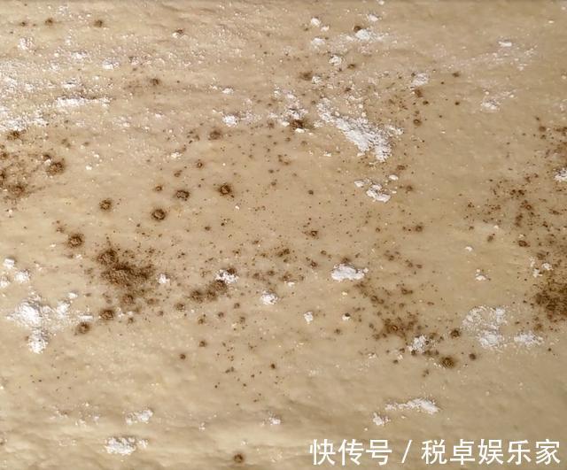 面食|发面直接加酵母粉和白糖是大错,教你一小妙招,发面只需10分钟