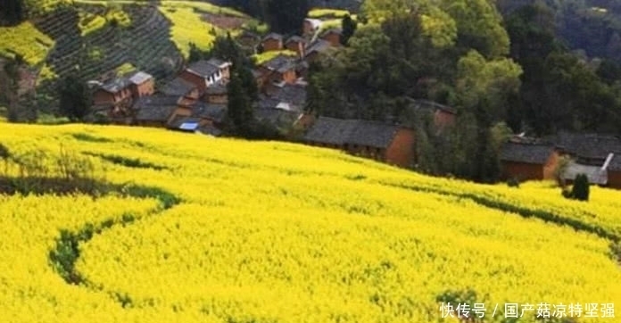 藏在皖南山区的深度镇，景色不输其它徽州古镇，适合一个人来走走