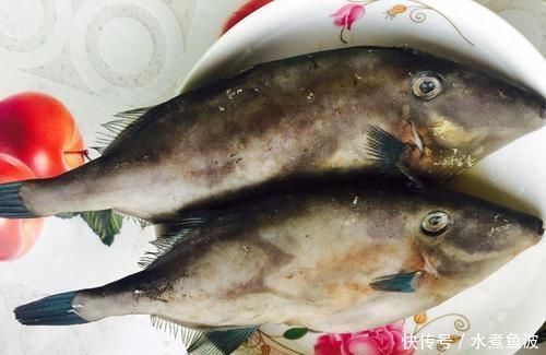 误会|这种鱼“没有头”,因太便宜被人们误会,大厨吃它的才是懂行人