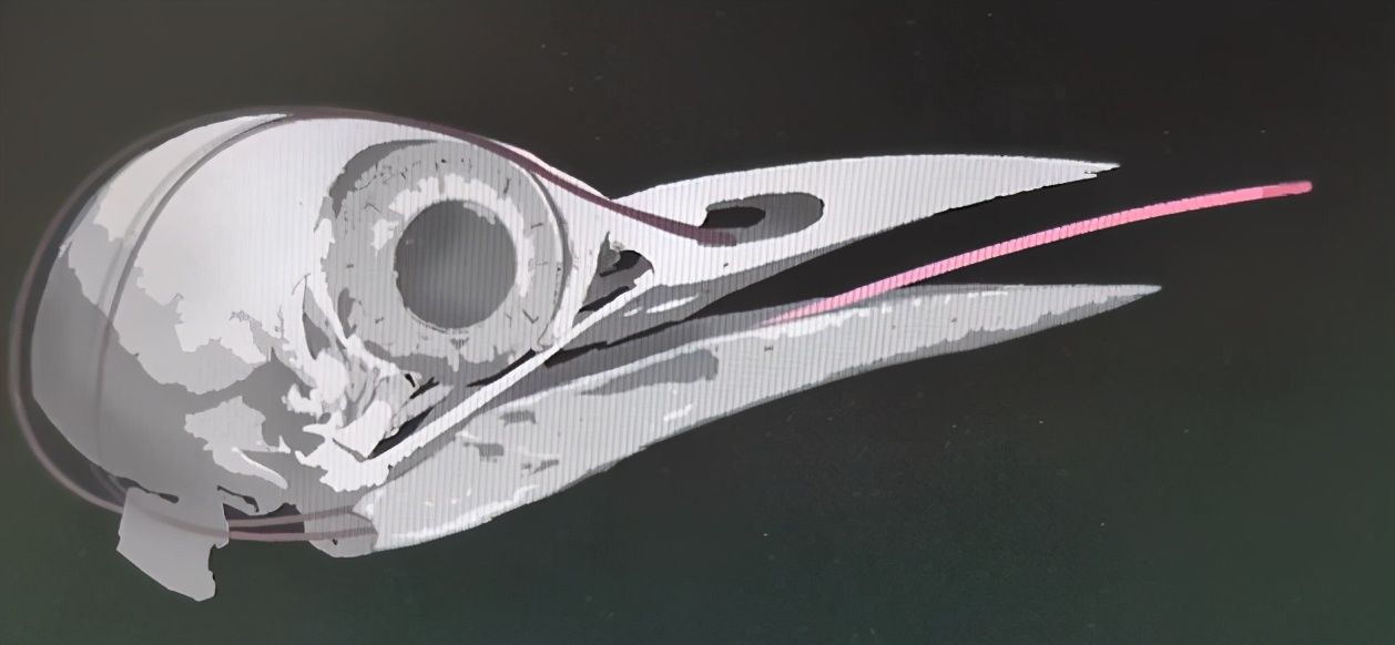 颅骨|大脑又软又糯,为什么我们可以摇晃翻滚,脑子不会烂成一团?