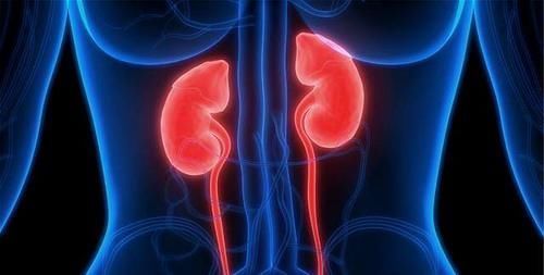 身体出现4种变化,或是糖尿病肾病来了,及时检查,别拖成尿毒症