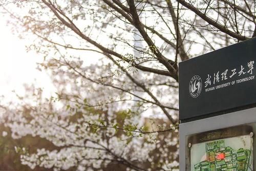 武汉那些年消失的4所大学，如果不被合并，恐怕都已成为211了