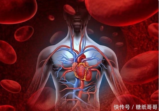 荞麦|这样喝水,通血管,护心脏,冠心病发病率会降低50%